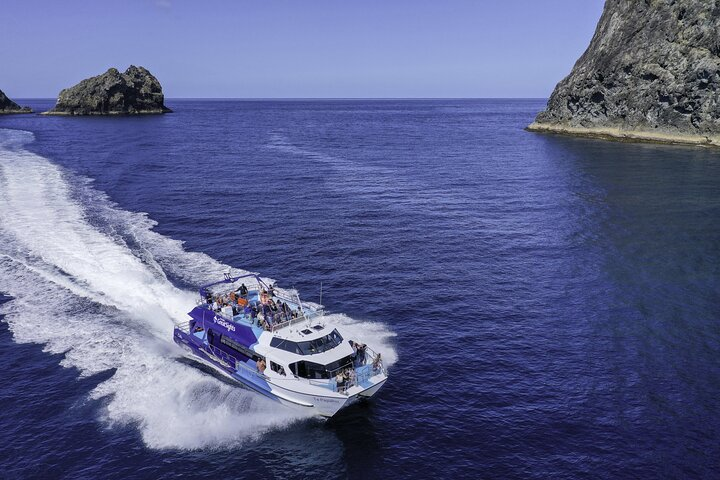 The Original Full day Bay of Islands Cruise with Dolphins - Photo 1 of 7